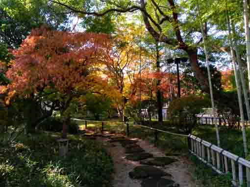 行船公園平成庭園脇小径の紅葉