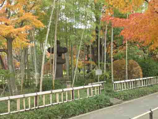 yellow leaves and a stone lantern