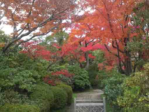 the gate of Genshinan in late fall