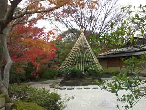 Genshinan and its stone garden in winter