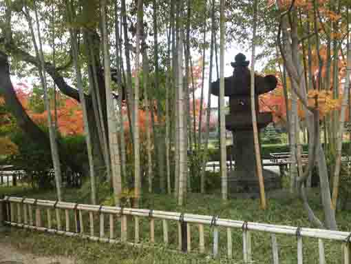 竹林に建つ行船公園徳川家光公献上の石灯籠