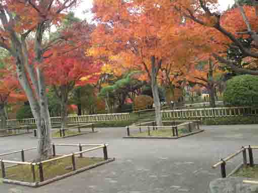 colored leaves in Heisei Garden