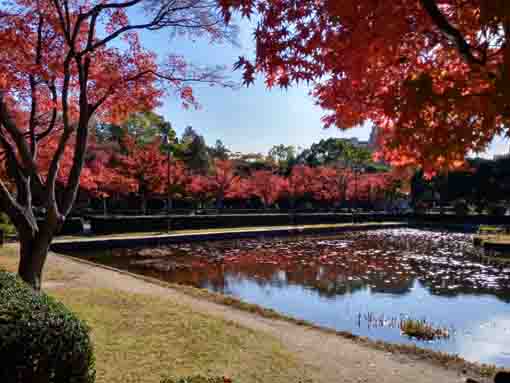 行船公園