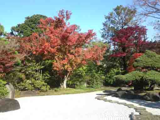 a stone garden in Gyosen Park