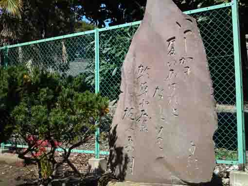 the stone tablet in Hachiman Jinja