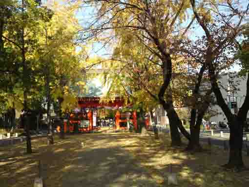 市川市八幡の葛飾八幡宮