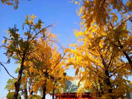 �ߘa�T�N�H���R�@�،o���̍g�t�Q