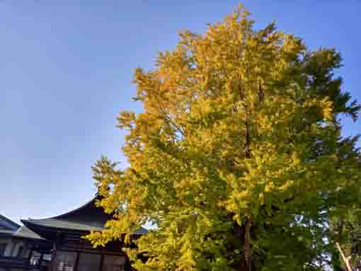 �ߘa�T�N�H���R�@�،o���̍g�t�U