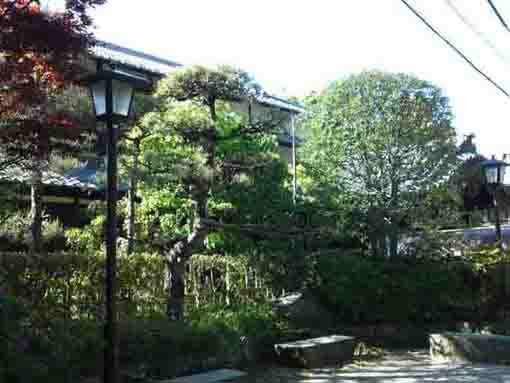 the central community hall in Ichikawa