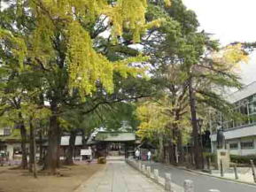 葛飾八幡宮参道と遺徳碑