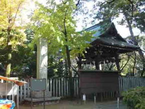 the colored tree and the bell tower in fall