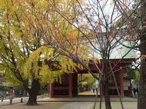 Katsushika Hachimangu Shrine