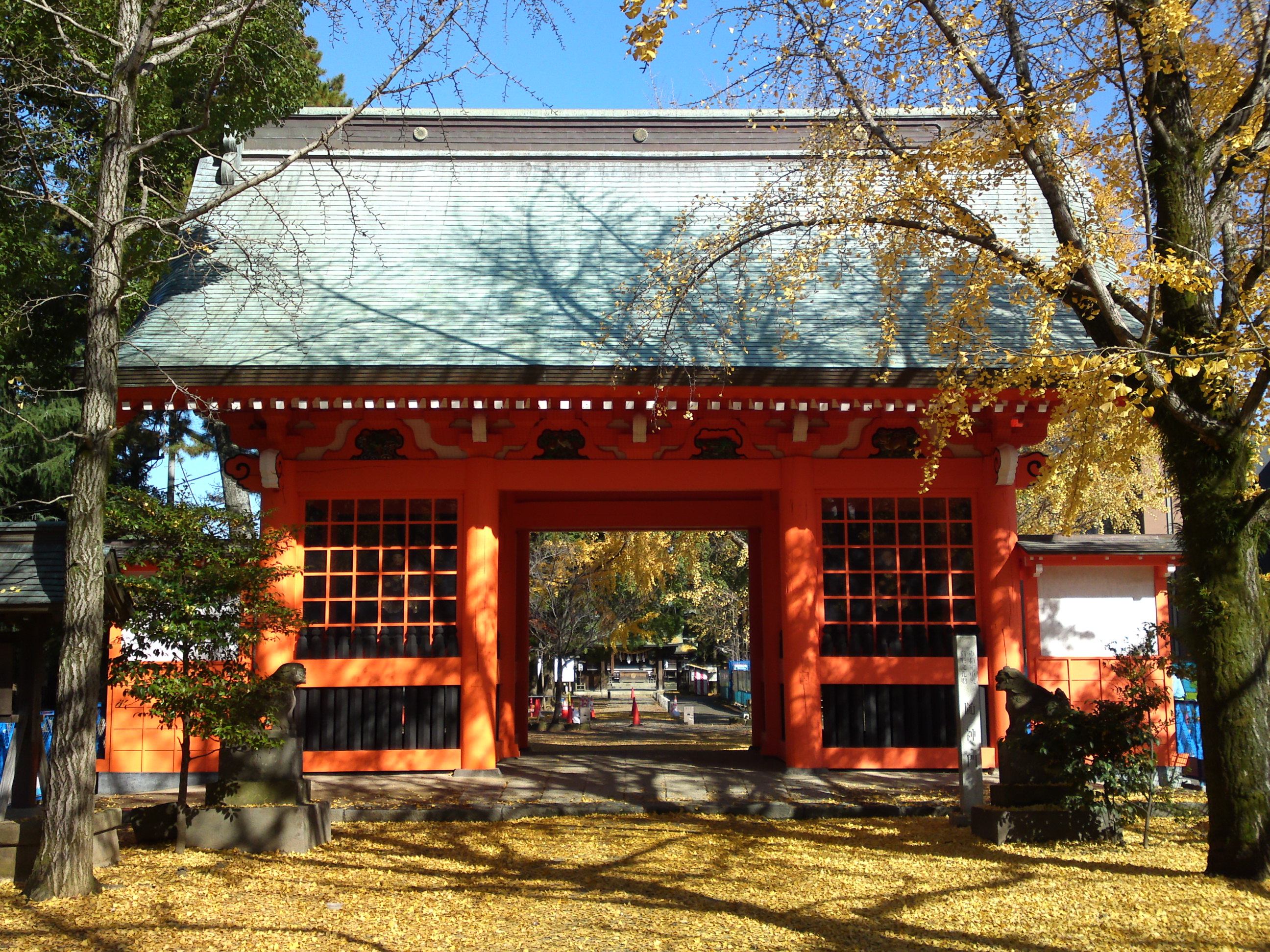 2016年金色の絨毯と葛飾八幡宮随神門１