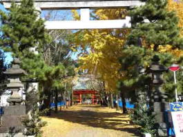 秋の葛飾八幡宮弐の鳥居