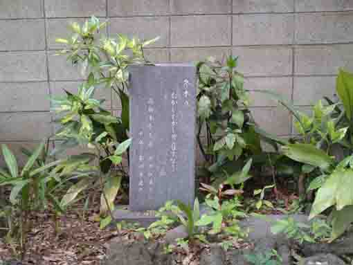 Issa Kobayashi's monument in yawata