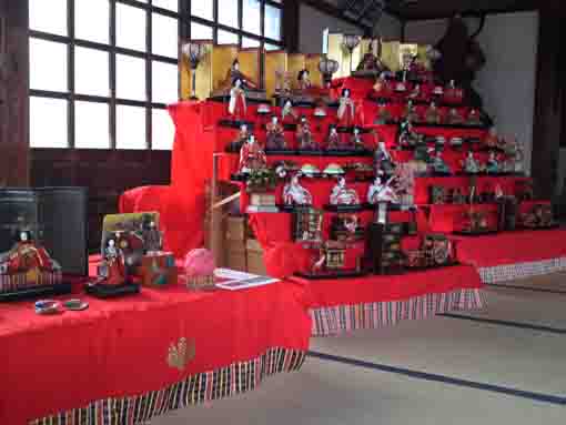 平成３１年遠寿院の雛飾りと仏像