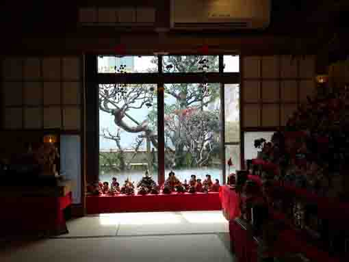 平成３１年清華園の雛飾り
