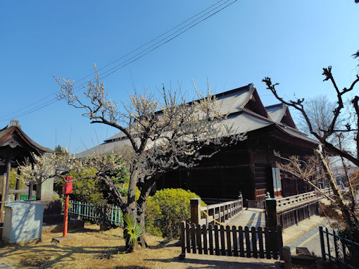 �ߘa�W�N�@�،o���c�t���Ɣ��~