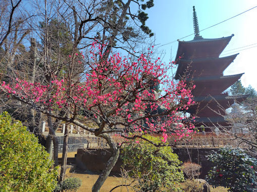 �ߘa�W�N���R�啧�e�̍g�~