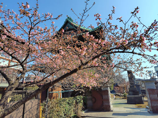 �ߘa�W�N�q��@�O���炫�̉͒Í��Q