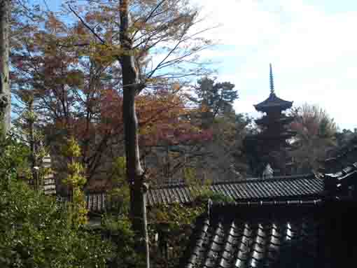 令和元年中山法華経寺の秋の風景