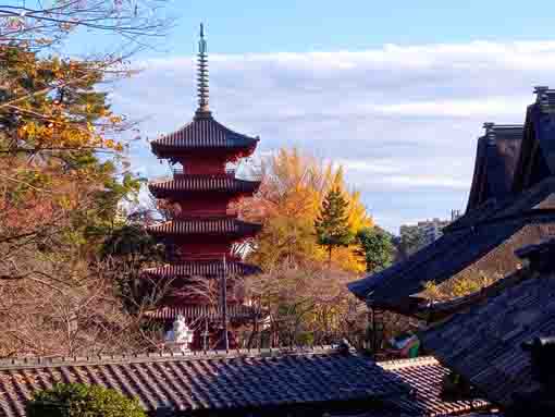 中山法華経寺