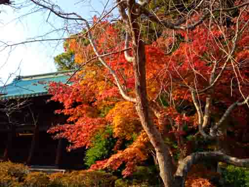 令和３年法華経寺法華堂と紅葉３