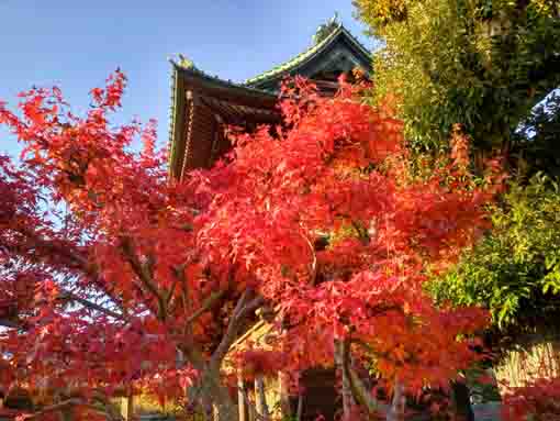 �ߘa�T�N�H���R�@�،o���̍g�t�U