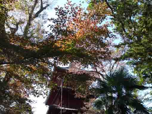 法華経寺五重塔と紅葉