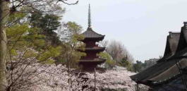 Nakayama Hokekyoji Temple