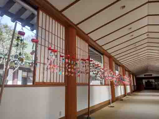 中山法華経寺本院廊下に飾られた雛飾り