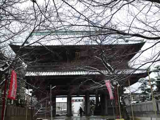 雪化粧した法華経寺赤門