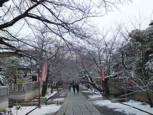 雪の法華経寺参道