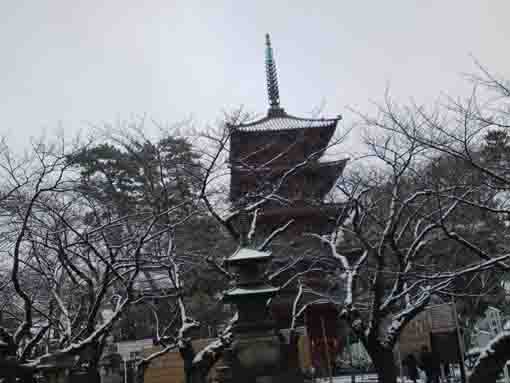 雪の法華経寺五重塔