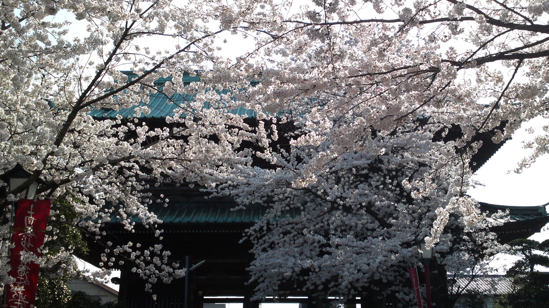 中山法華経寺