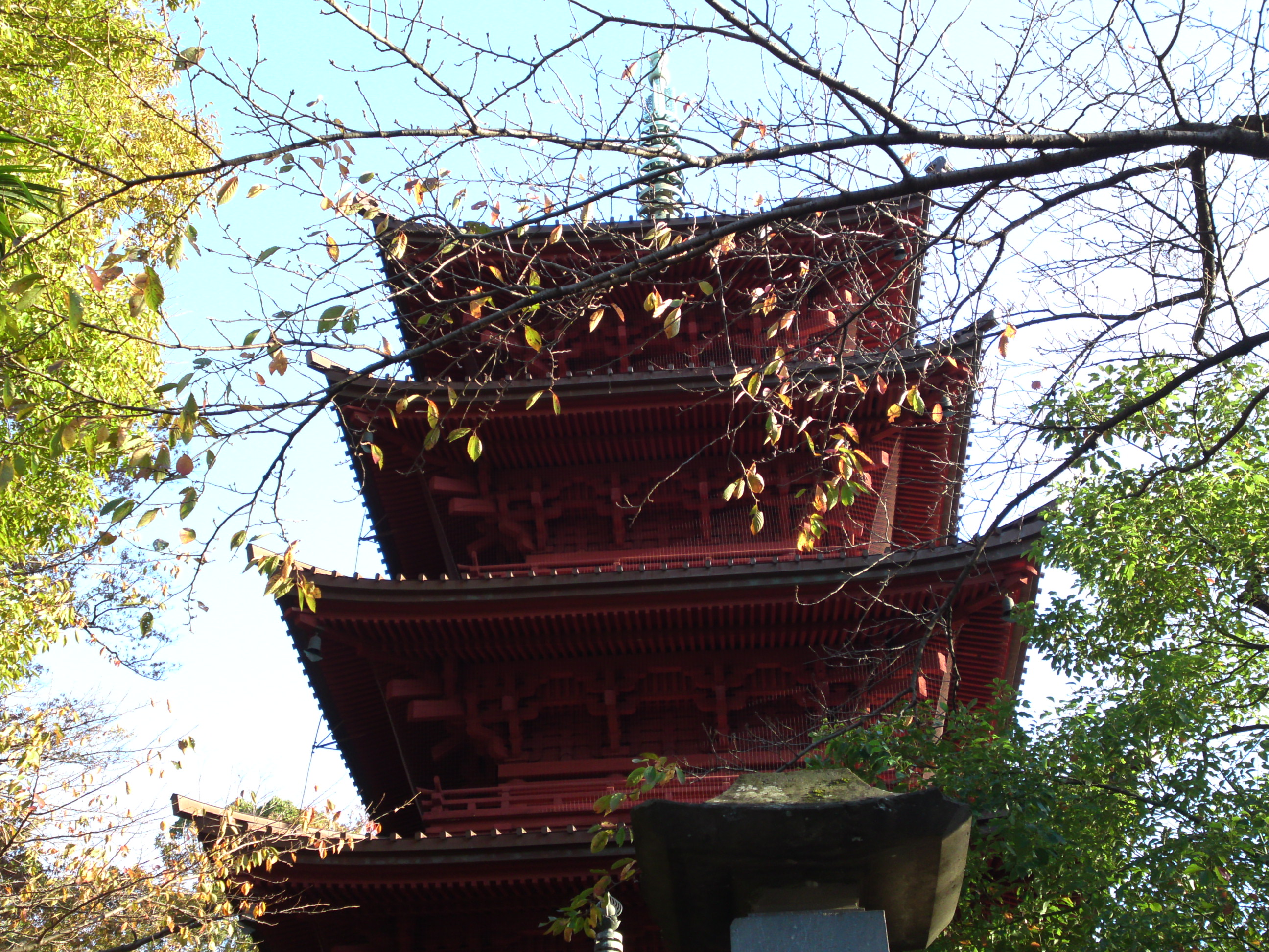 2014年秋の法華経寺五重塔１
