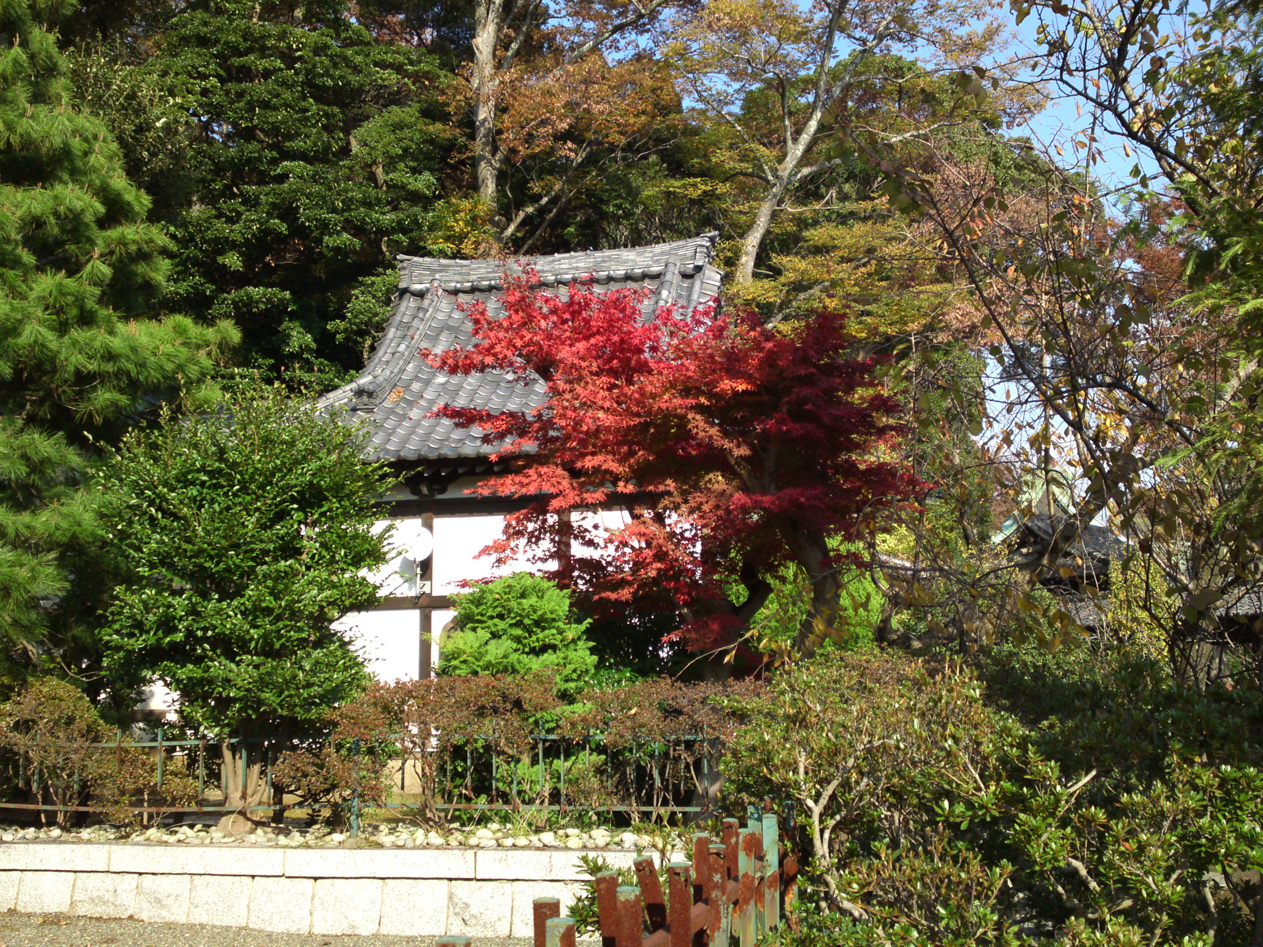2014年法華経寺宇賀神堂と紅葉