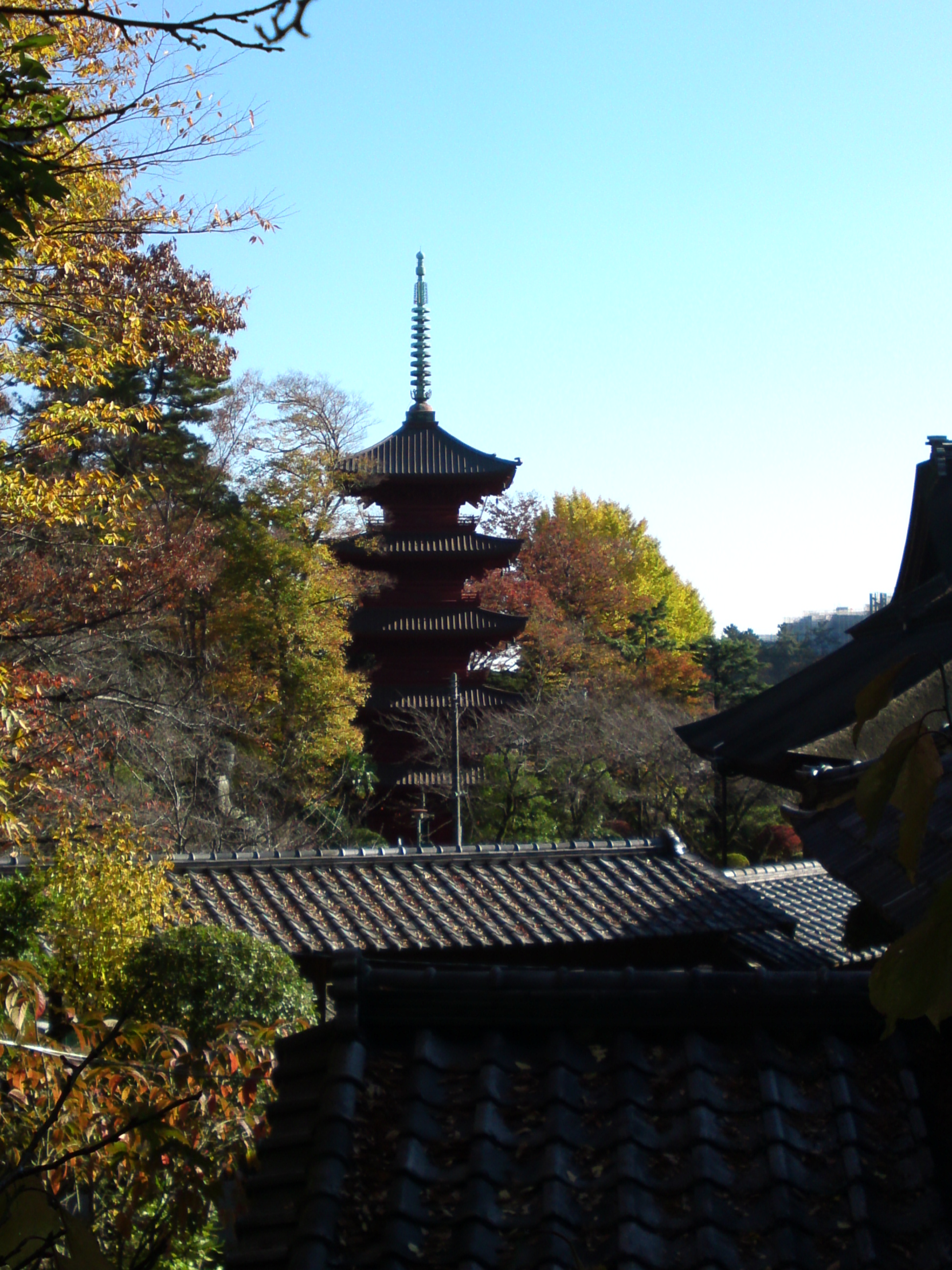 2014年秋の中山法華経寺