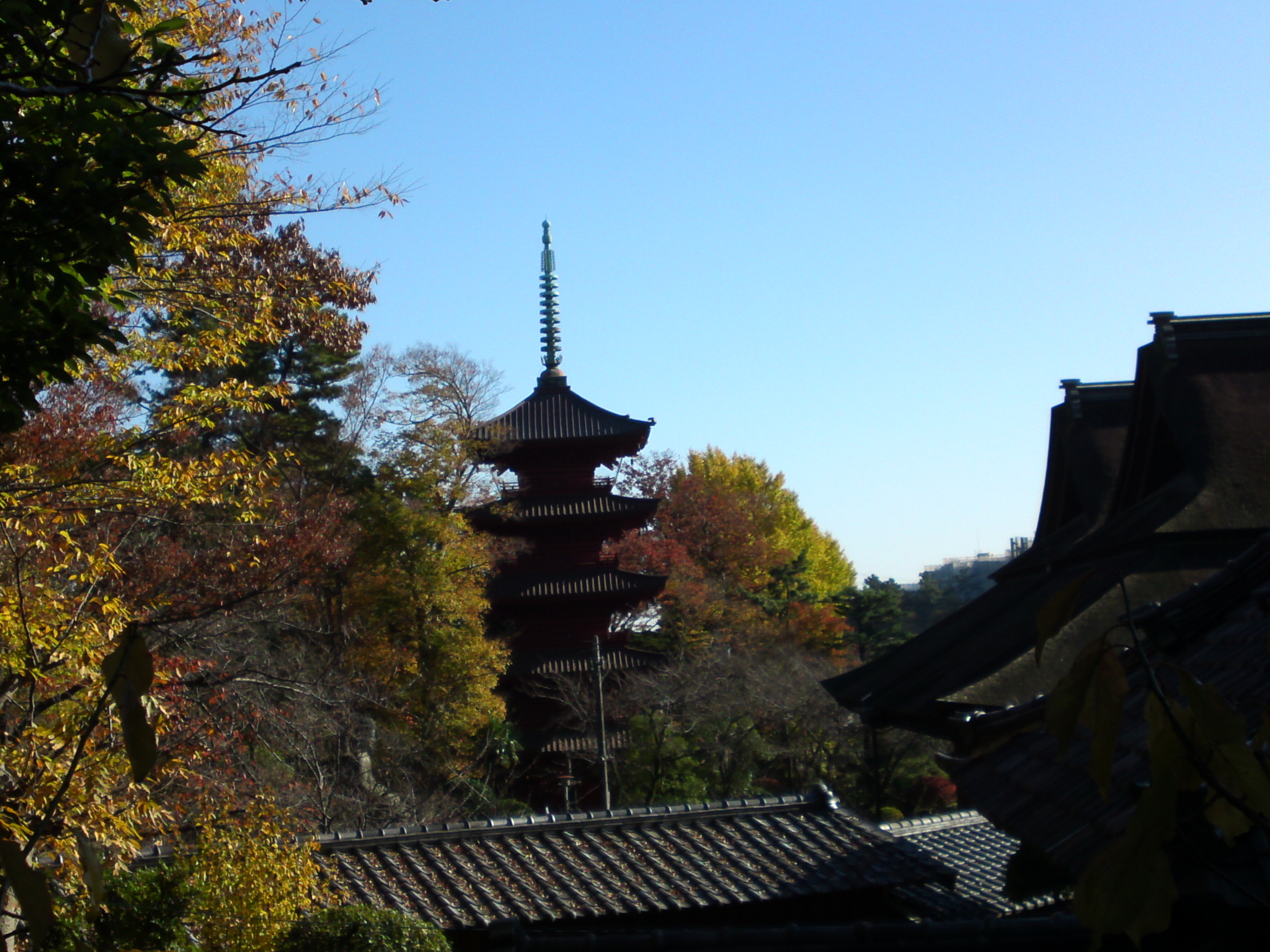 2014年秋の法華経寺五重塔５