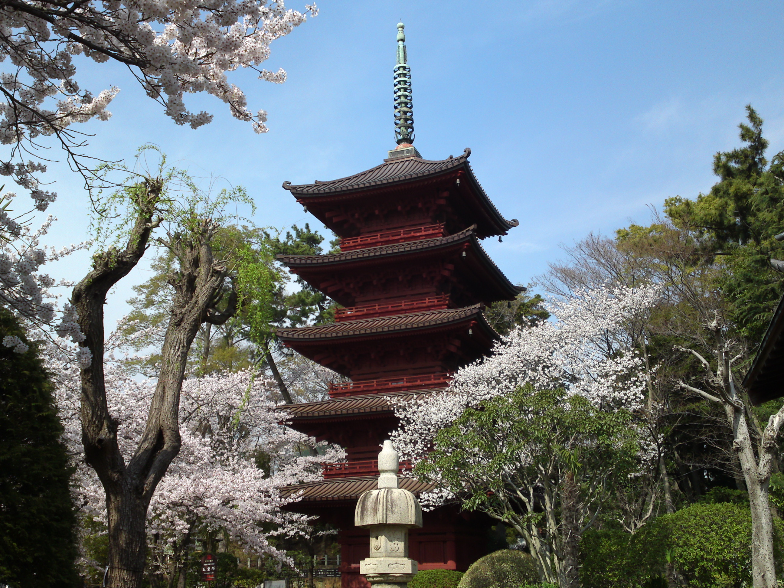 2016年中山法華経寺五重塔と桜１