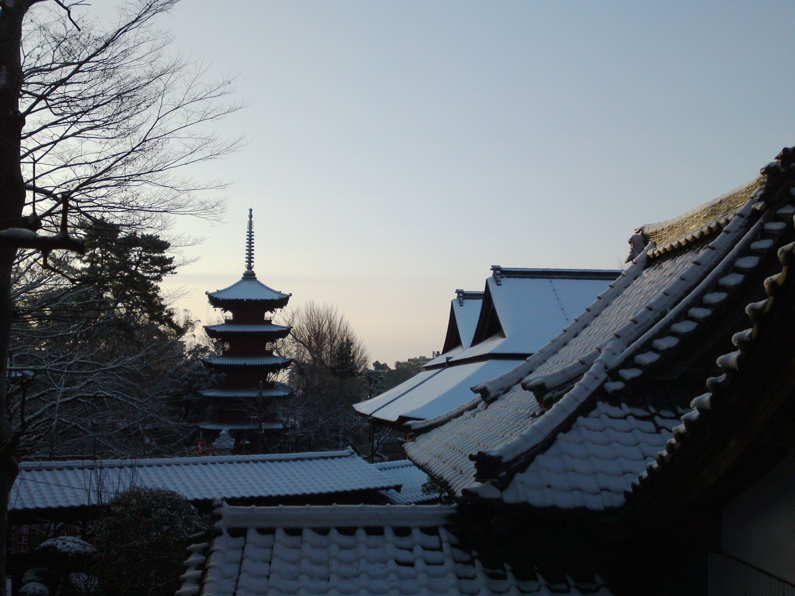 2019年朝焼けに色づく法華経寺の雪景色１