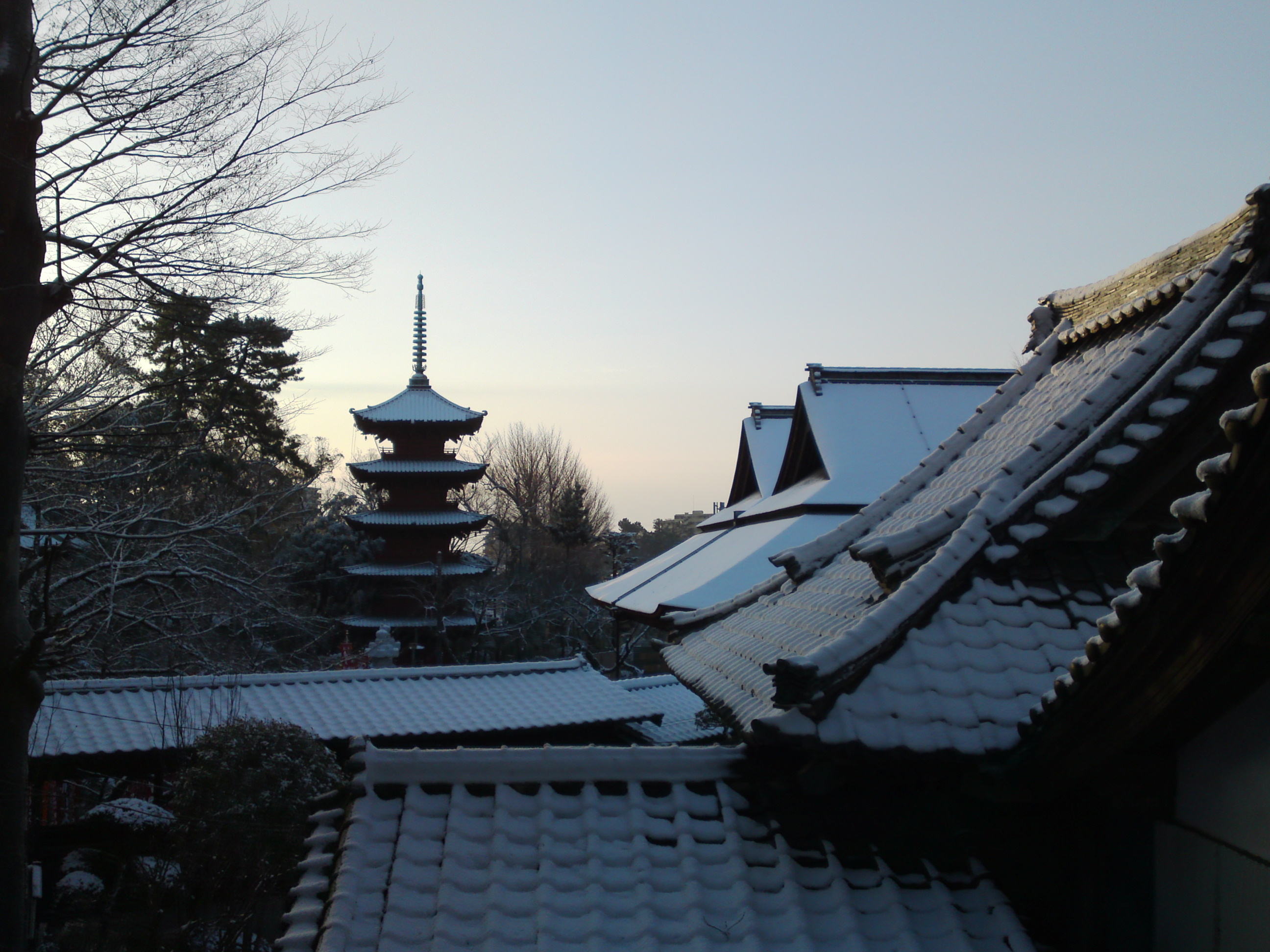 2019年朝焼けに色づく法華経寺の雪景色２