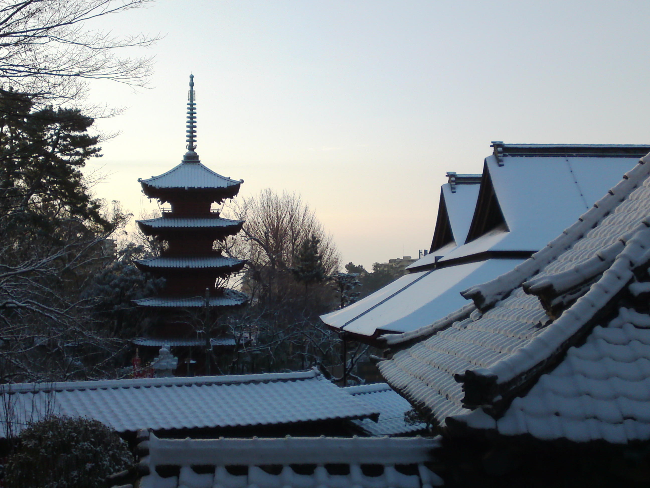2019年朝焼けに色づく法華経寺の雪景色３