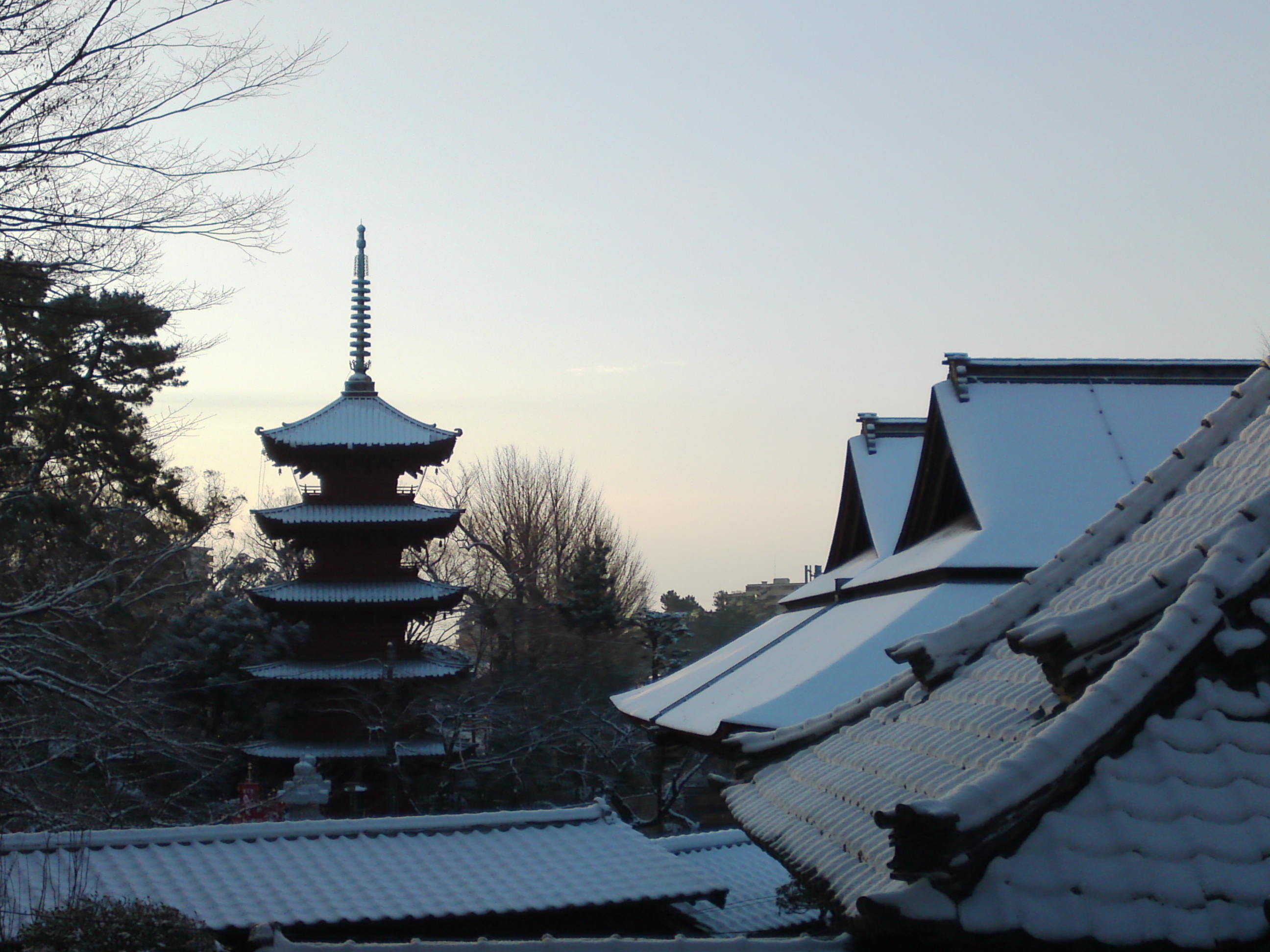 2019年朝焼けに色づく法華経寺の雪景色４