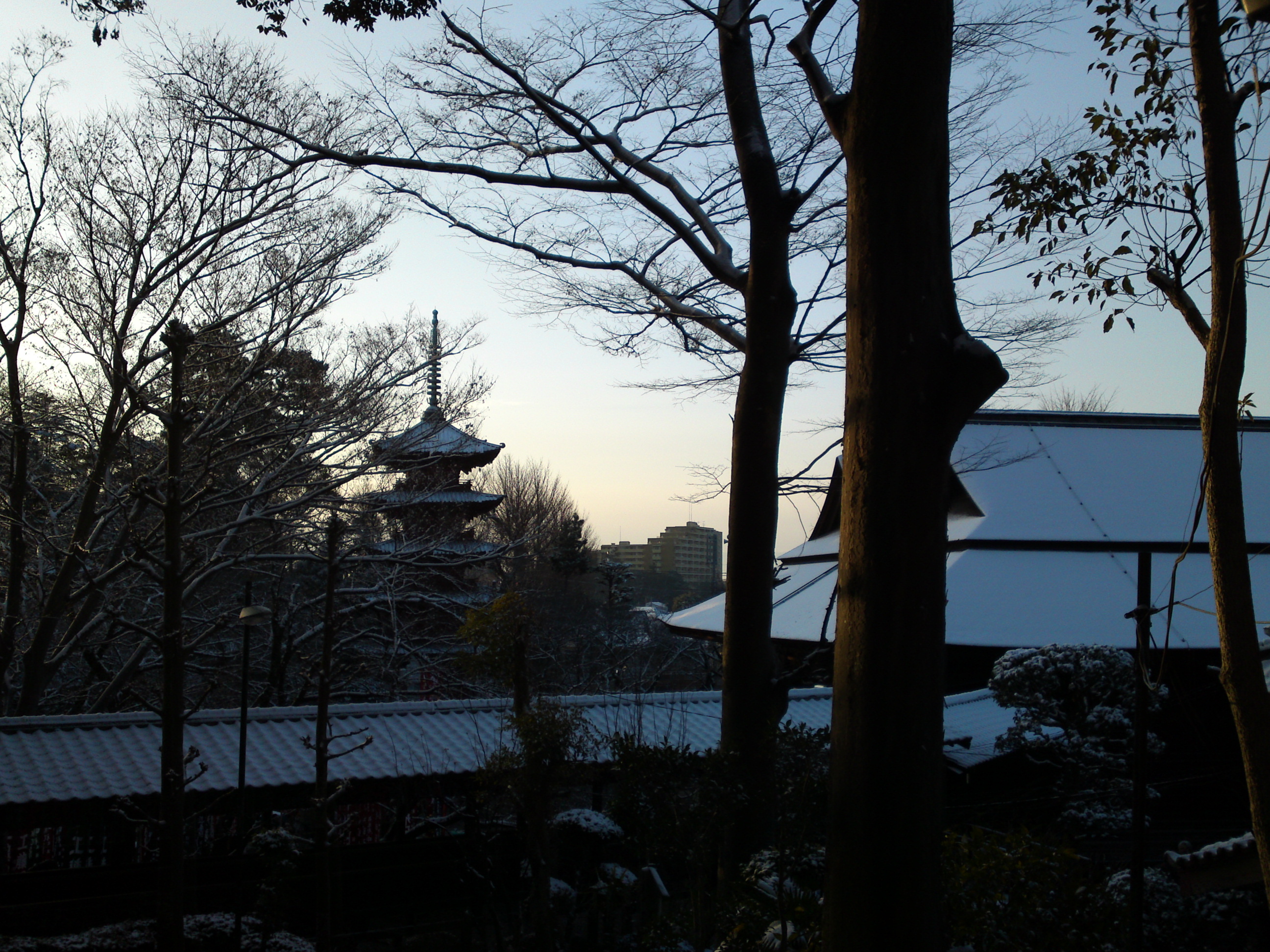 2019年朝焼けに色づく法華経寺の雪景色５