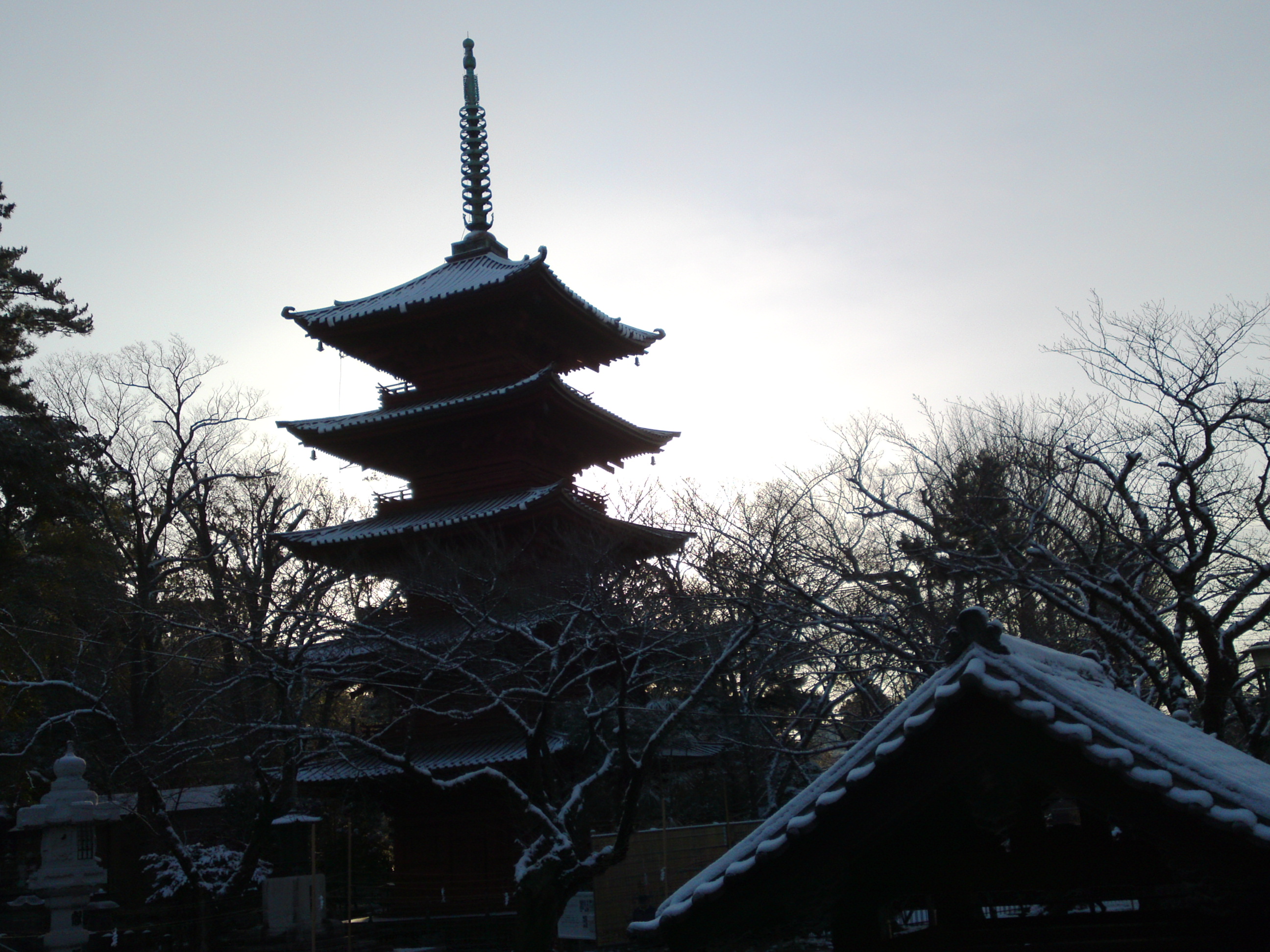 2019年朝焼けに色づく法華経寺の雪景色１３