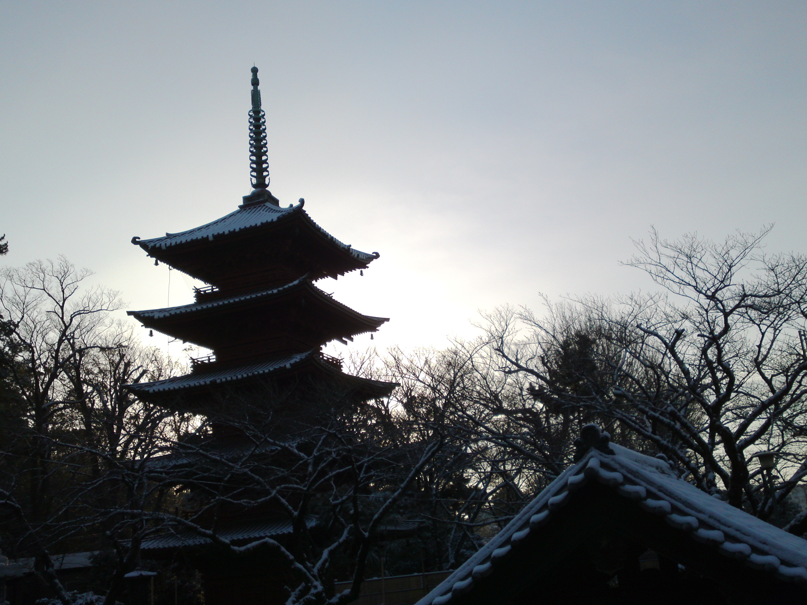 2019年朝焼けに色づく法華経寺の雪景色１４