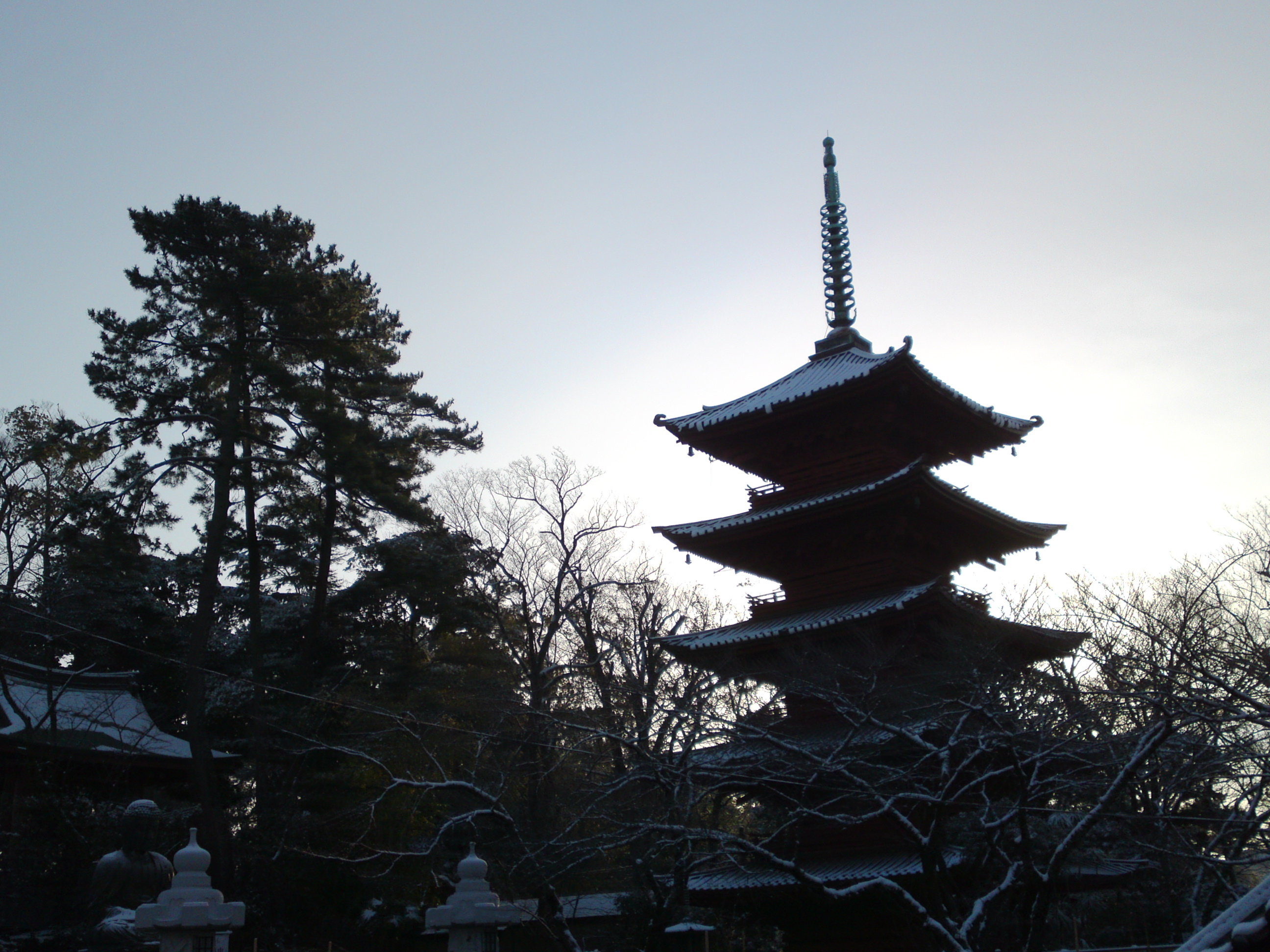 2019年朝焼けに色づく法華経寺の雪景色１５