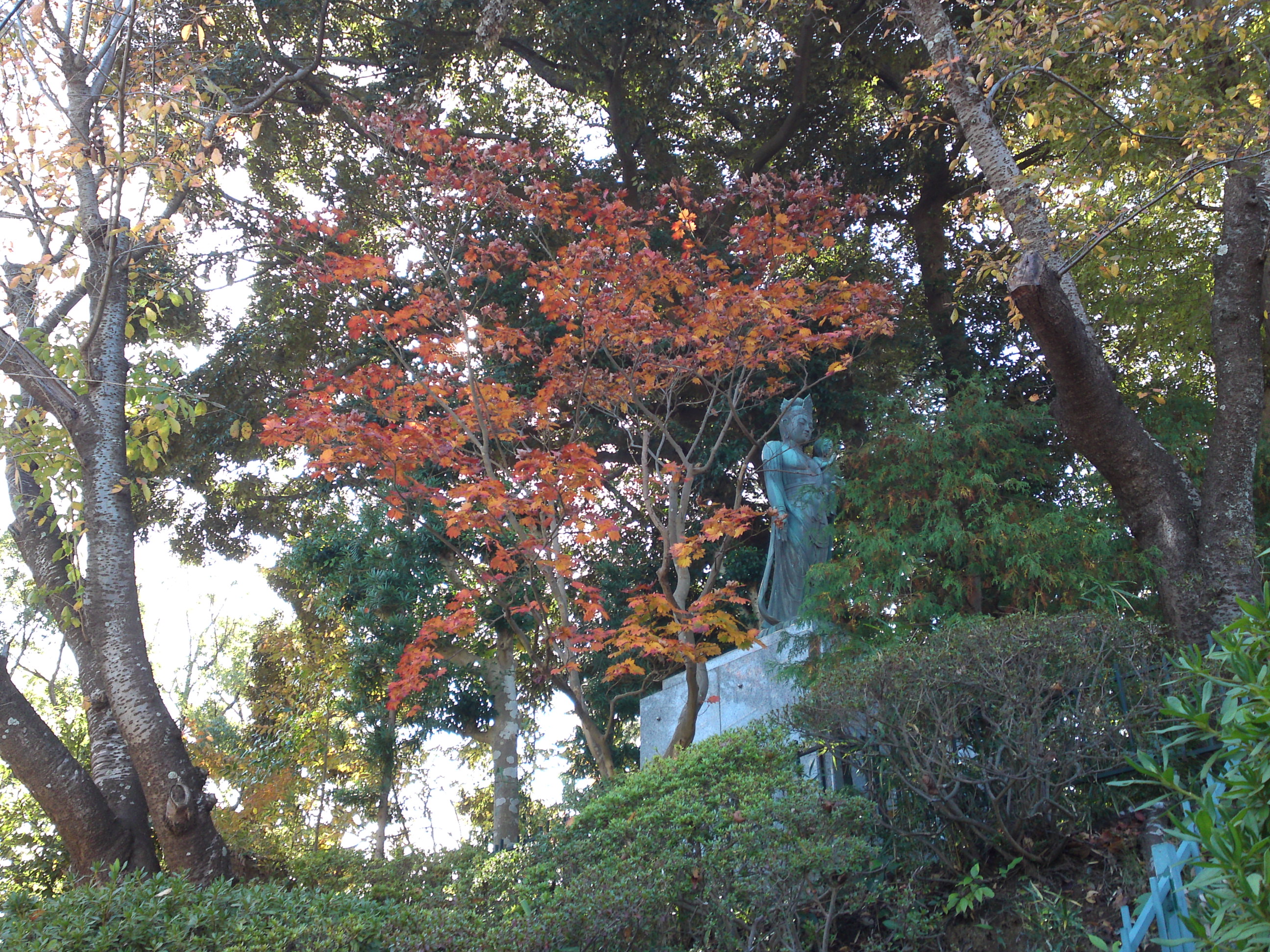 2019年秋法華経寺の仏像と紅葉１