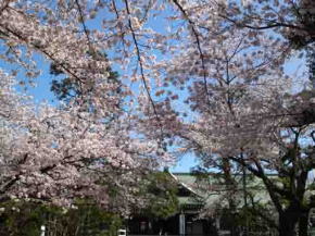 Nakayama Hokekyoji Temple